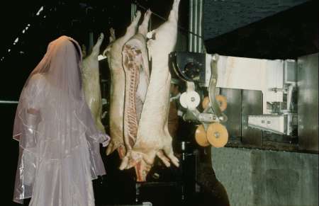 Photo 7 de Salope en robe de mariée à conduire à l'abattoir