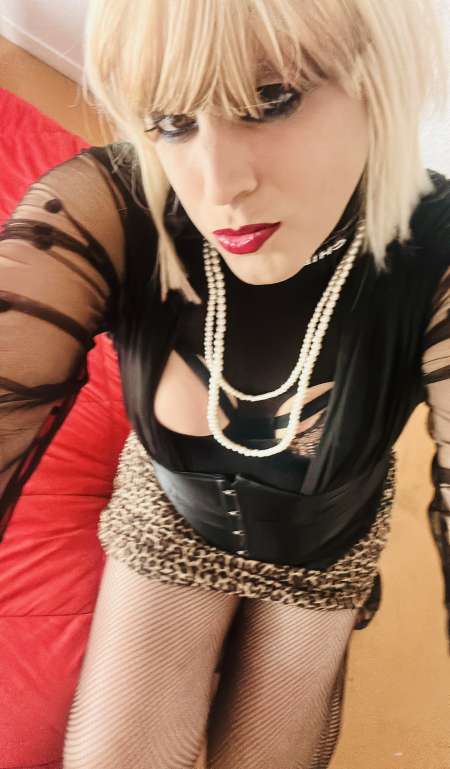 Profil Anna Chienne TV Dreux — Dreux